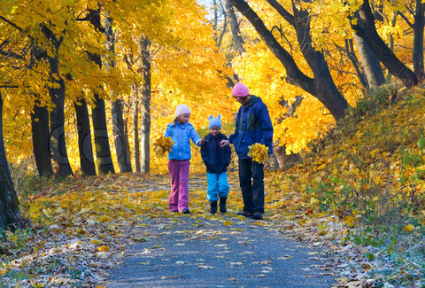 Family walking along a wooded path