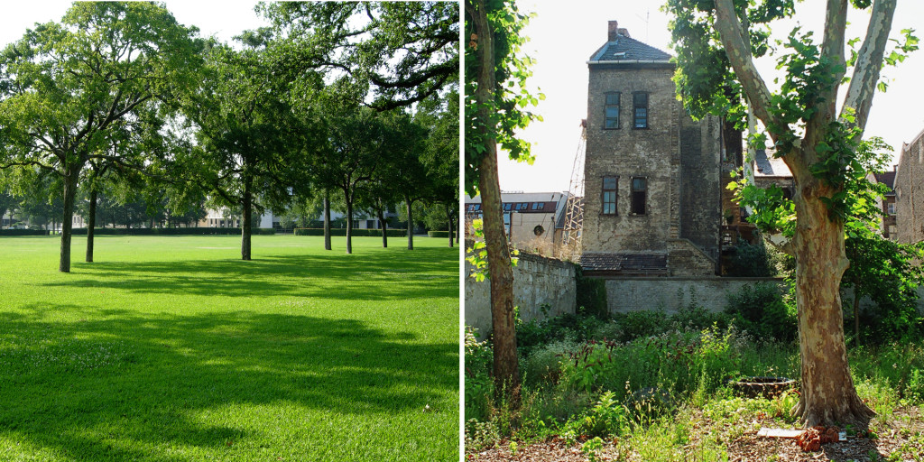 Controlled and uncontrolled urban landscapes: The aesthetically-preferred lawn on the left provides little habitat for nativ