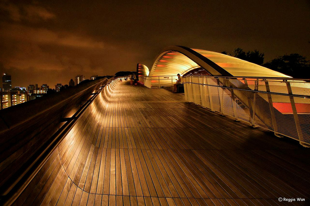 the Henderson Bridge, Singapore