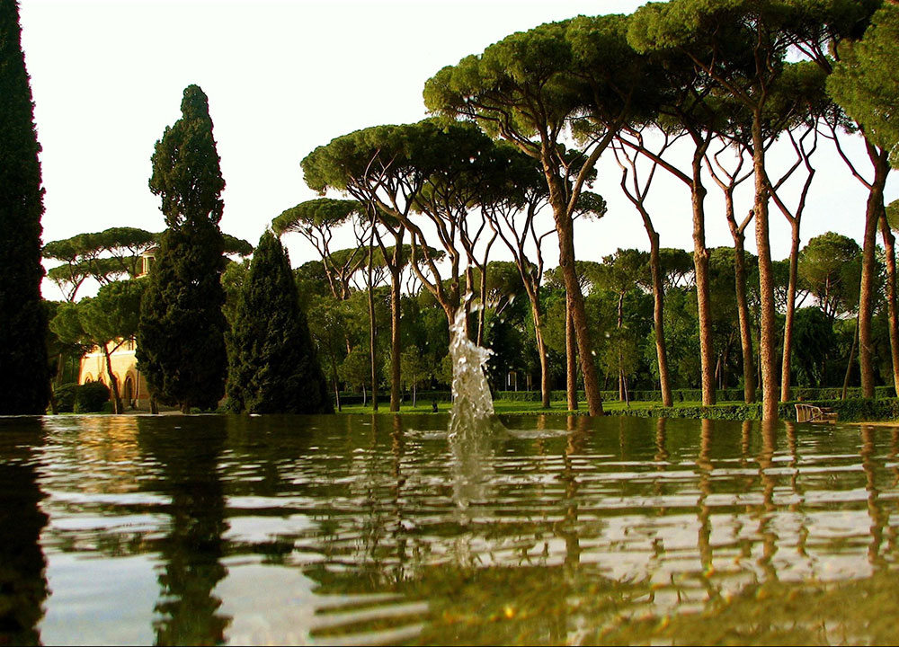 Canopy trees and water features of the Vatican City gardens.