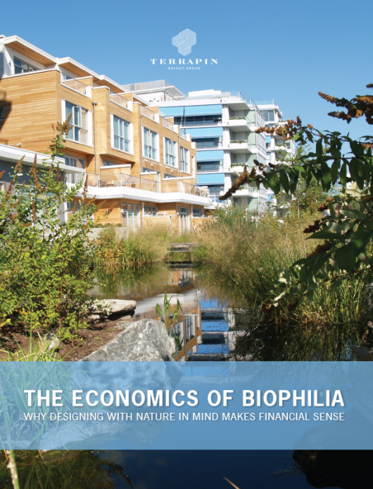 Cover of The Economics of Biophilia