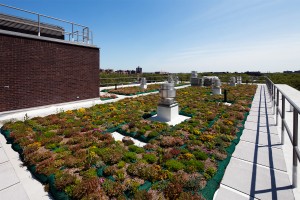 The green roof reduces storm water runoff and insulates the building. Courtesy of COOKFOX.