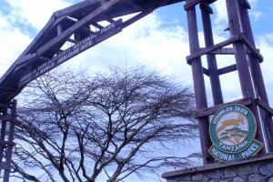 Entrance to Serengeti National Park - Courtesy of Timothy Forbes
