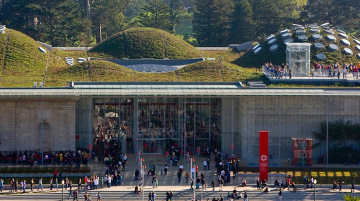 California Academy of Sciences