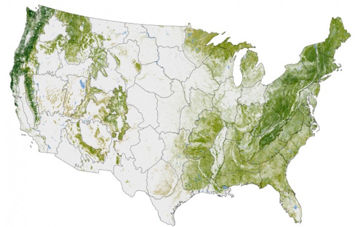 Greening America Board