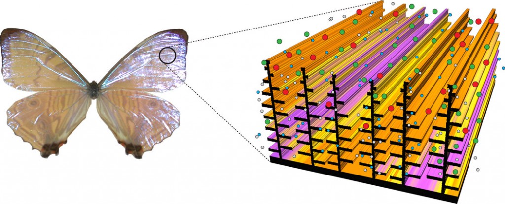 SPIE International society for optics and photonics