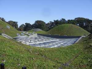 Dune ecosystem green roof. Copyright aaron_anderer/Flickr.