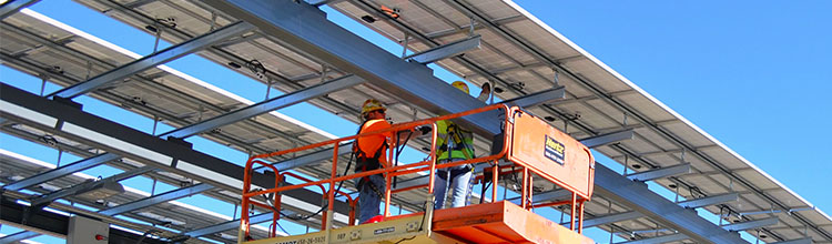 Defense Science Board Terrapin Bright Green