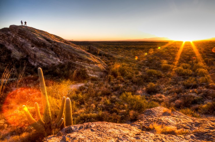 Searching in the Desert: How Nature Can Help Phoenix Cope with Climate Change