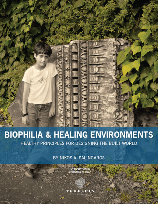 Cover of Biophilia & Healing Environments