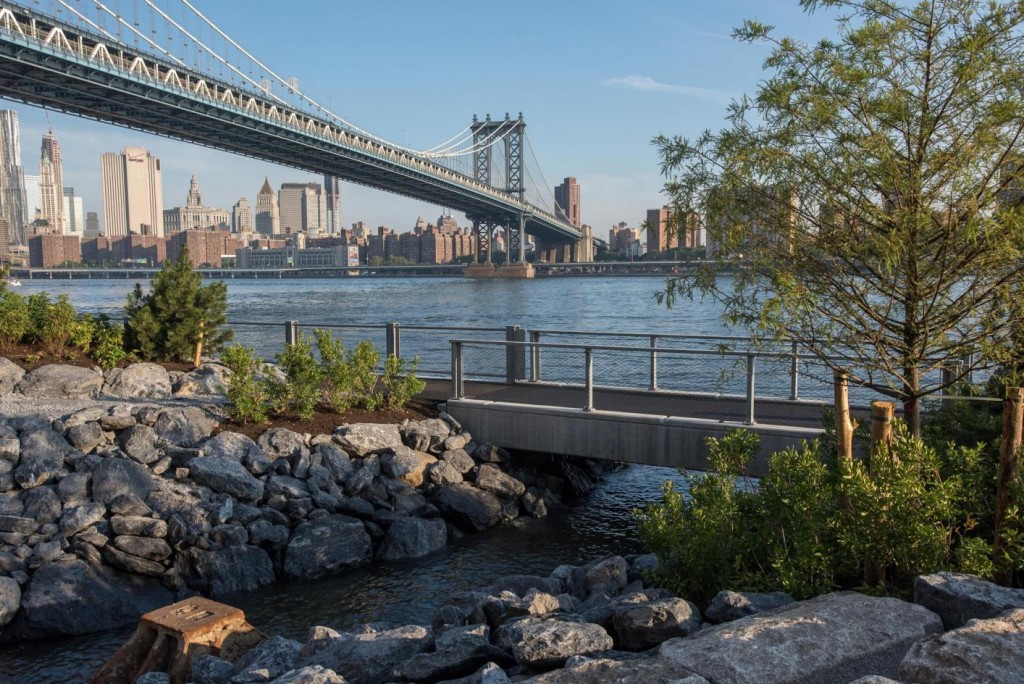 TidalMarsh_BrooklynBridge2