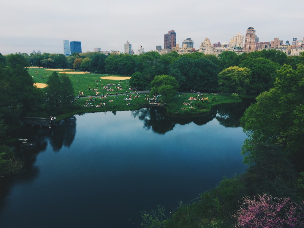 Although it appears like a pristine swath of natural landscape, Central Park in New York City was actually designed by Olmsted and Vaux.