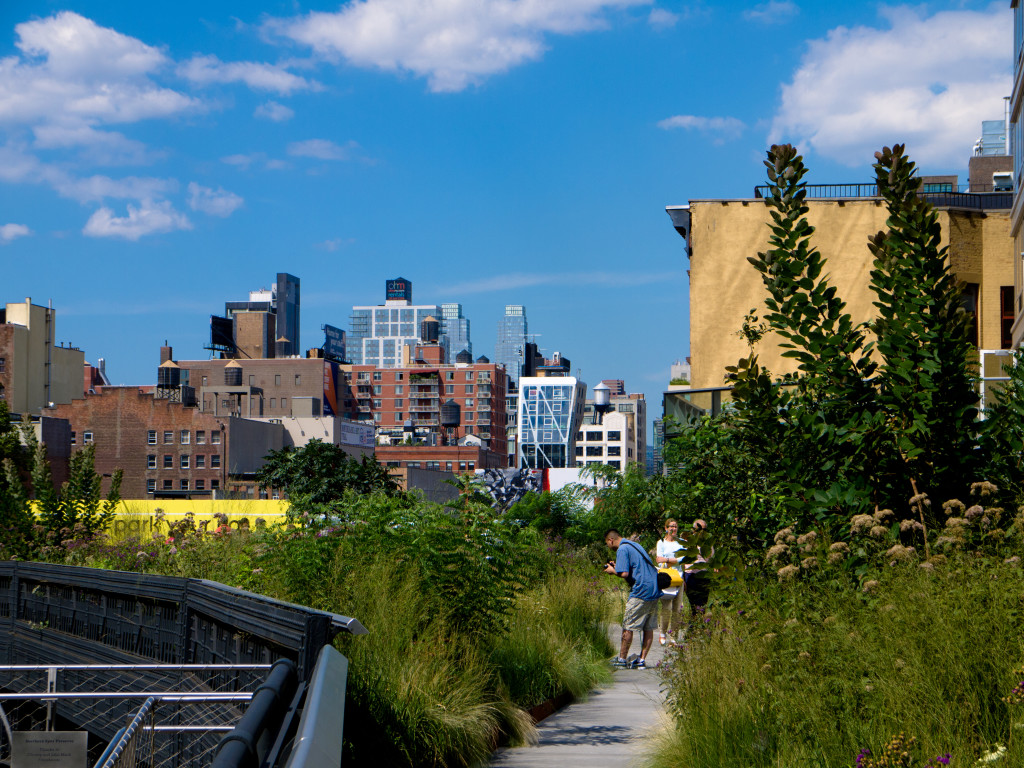 The Highline Park in New York City converted a disused raised railroad track into a highly popular destination. The planting scheme was inspired by the self-seeding plant community that had developed on the tracks pre-development, and many of the original plants were incorporated into the landscaping. Image copyright Anders/Flickr.