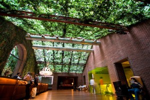 Hudson Lobby Biophilia