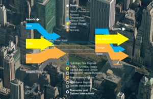 Urban ecosystem analysis using Phoebe's ecological design methods 