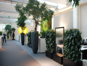 Biophilic design in the Art Aqua workplace