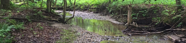 Headwater site used part of the Buffalo Niagara Riverkeeper project