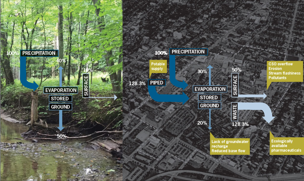 Site water flow analysis using the Phoebe toolkit