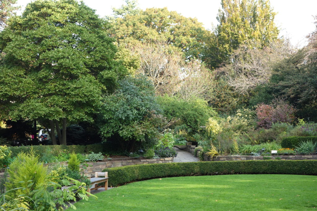 The Fragrance Garden of the Brooklyn Botanic Garden creates a multi-sensory experience – designed for the sight-impaired and wheelchair-bound – by providing olfactory, visual, haptic, and auditory stimuli that emanate from plants (e.g., mint and geranium) and the wildlife they attract. Image copyright Daderot/Wikimedia Commons.