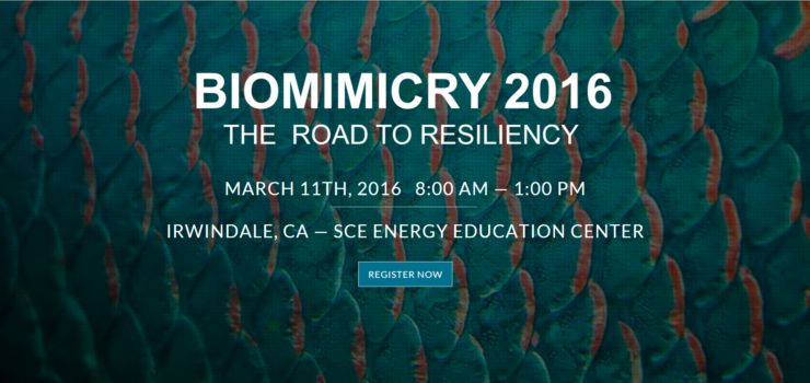 Video: Chris Garvin Speaking at Biomimicry 2016: The Road to Resiliency