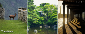 Mystery biophilic design pattern sets up transitions