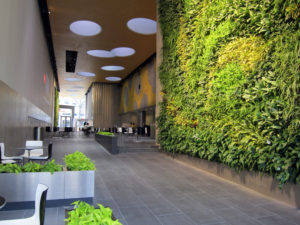 David Rubenstein Atrium demonstrates biophilic design