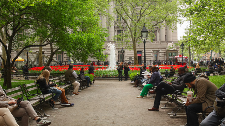 Studying the Allure of Biophilia in Cities
