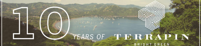 Terrapin's ten-year anniversary