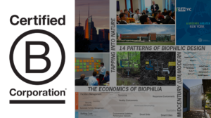 Terrapin is a Certified B Corporation