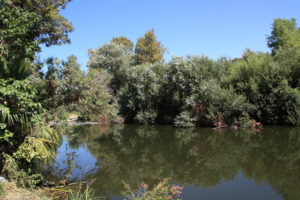 Los Angeles River