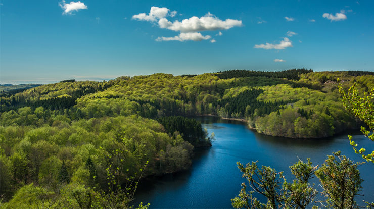 From Forest to Faucet: The Importance of Water Conservation