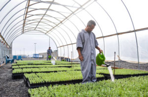 Green Rehabilitation Program