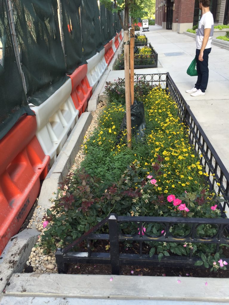 Bioswales incorporated into the construction of 365 Bond apartment complex along the Gowanus Canal