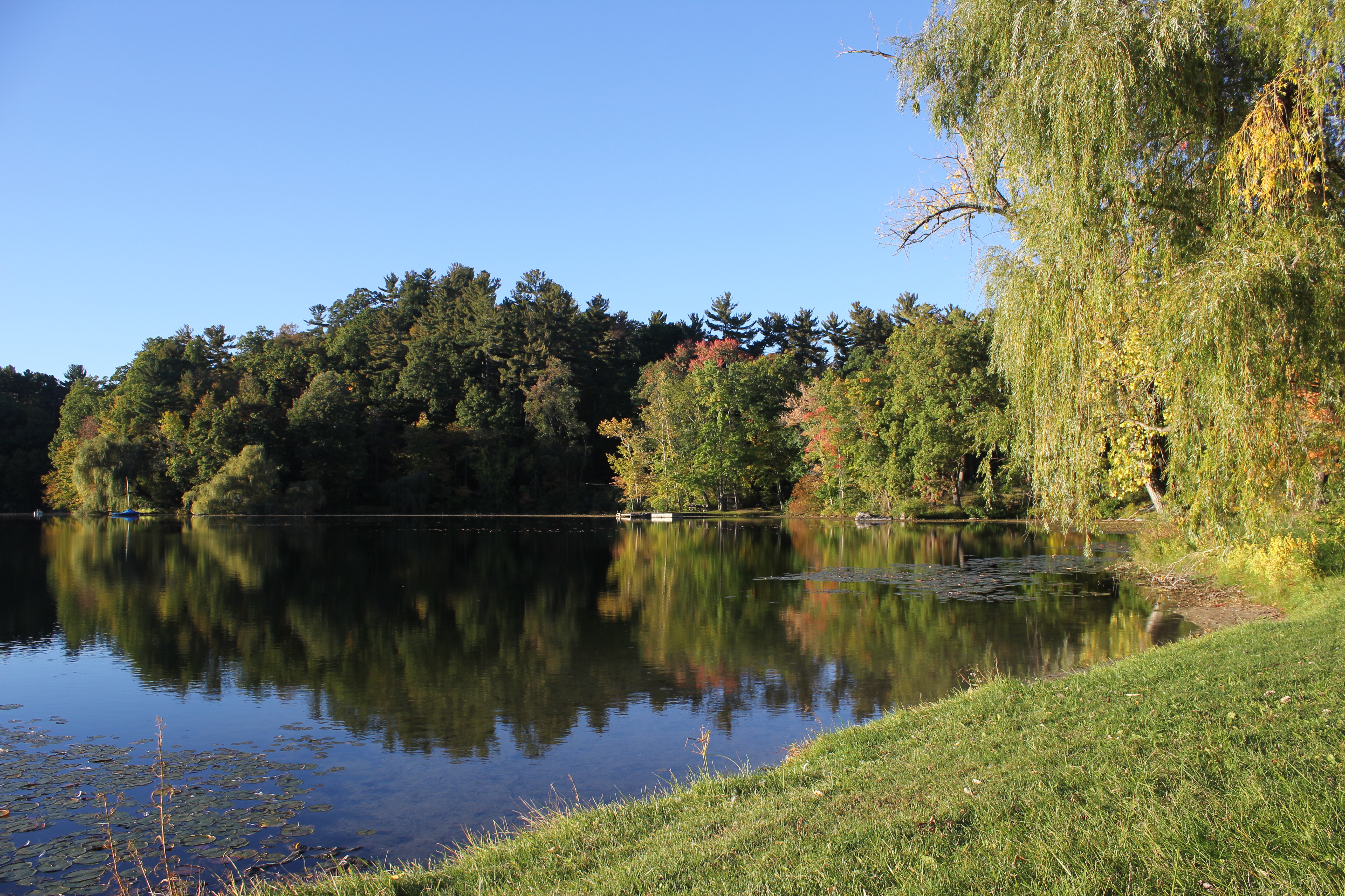 Advancing Sustainability at the Williams Lake Resort Community