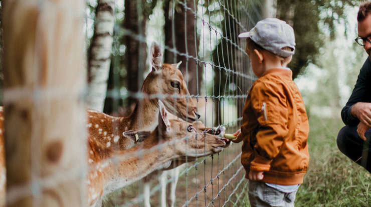 Catie Ryan to Speak at the Oregon Zoo