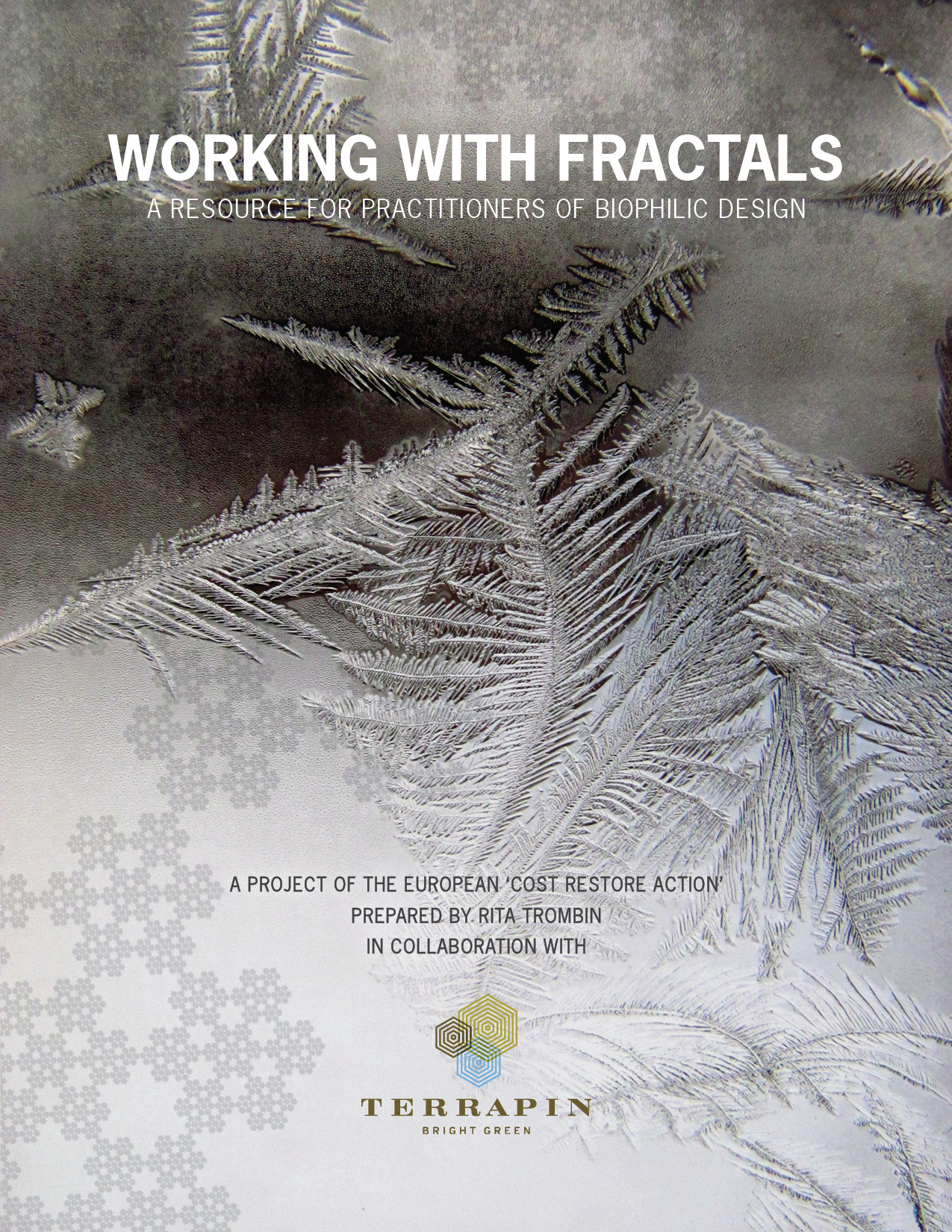 Working with Fractals - Terrapin Bright Green