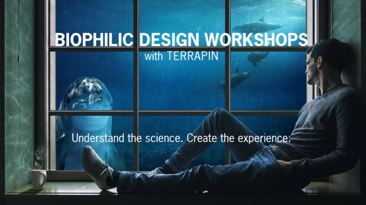 ANNOUNCING: 2021 Biophilic Design Workshop Series