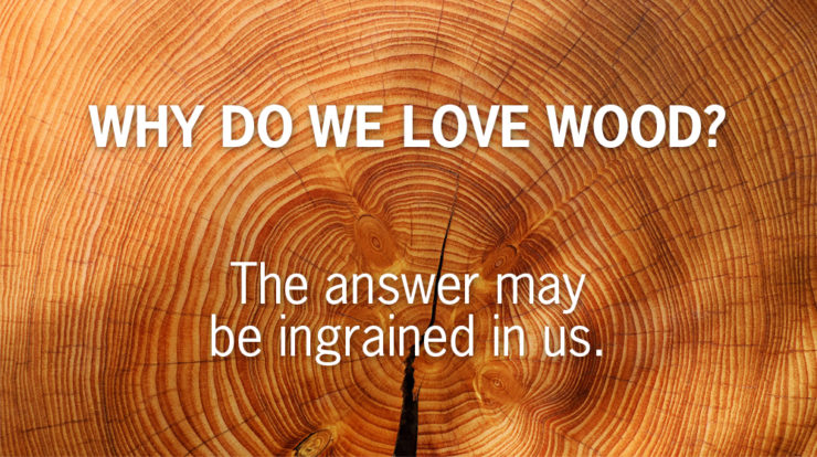 The Nature of Wood – a new white paper by Terrapin