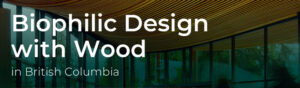 Snapshot of book title.