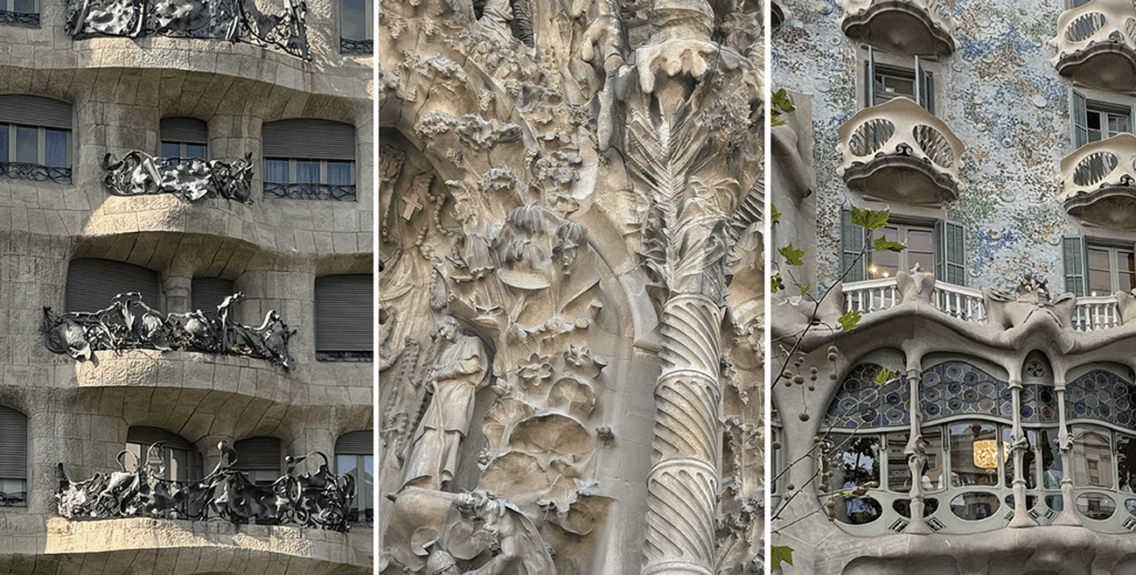 Images conveying organic qualities of building façades designed by Antoni Gaudí.