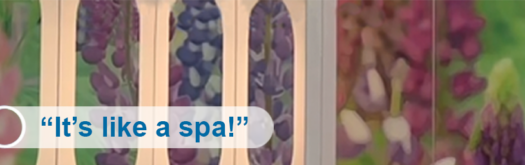 Detail of Portland Airport's new all-user bathroom with large colorful floral imagery, with a quote saying