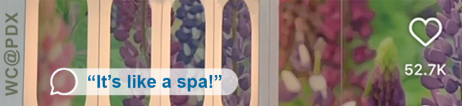 Detail of Portland Airport's new all-user bathroom with large colorful floral imagery, with a quote saying 